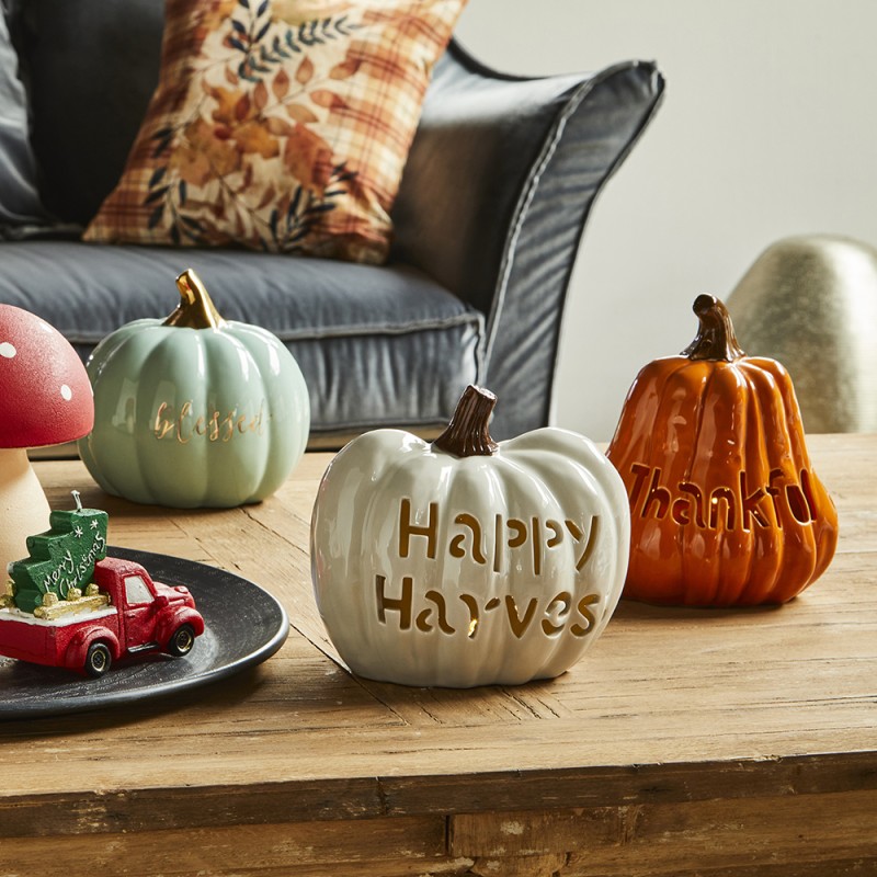 Zucca cm 18 x 15 thankful Pump