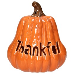 Zucca cm 18 x 15 thankful Pump