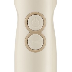 Frullatore a Immersione 3 in 1 Champagne