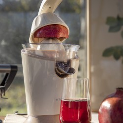 Spremiagrumi Elettrico Champagne