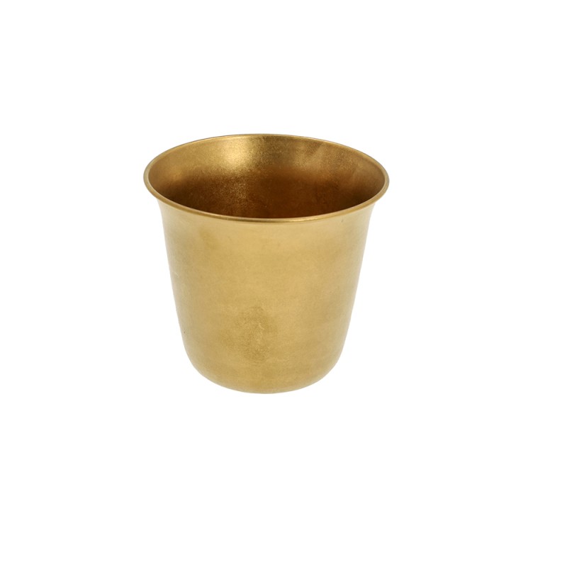 Coppetta Chips Living Golden